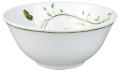 Rice bowl - Raynaud